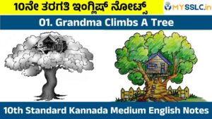 Grandma Climbs A Tree